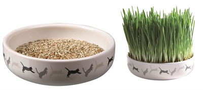 TRIXIE Kattengraszaad Kweekset 50g in Keramiek 15×15 cm - Wit/Grijs