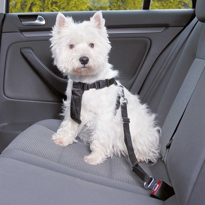 TRIXIE Hondentuig Auto Inclusief Gordel Zwart 20-50×1,5 cm – XS