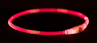 TRIXIE Lichtgevende Halsband USB 40×0,8 cm – Rood
