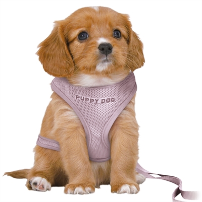 TRIXIE HONDENTUIG JUNIOR PUPPY LILA 36-50×1 cm – 2 m riem