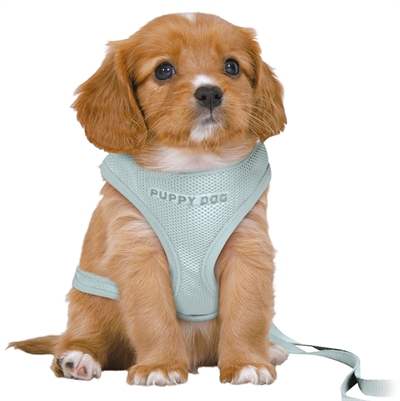 TRIXIE HONDENTUIG JUNIOR PUPPY SOFTTUIG 36-50×1 cm – MINTGROEN