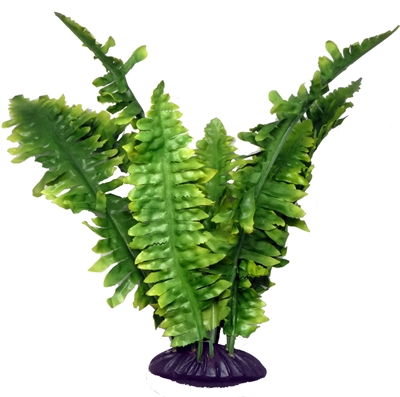 KOMODO Terrariumdecoratie Boston Varen 25 cm – Realistisch groen