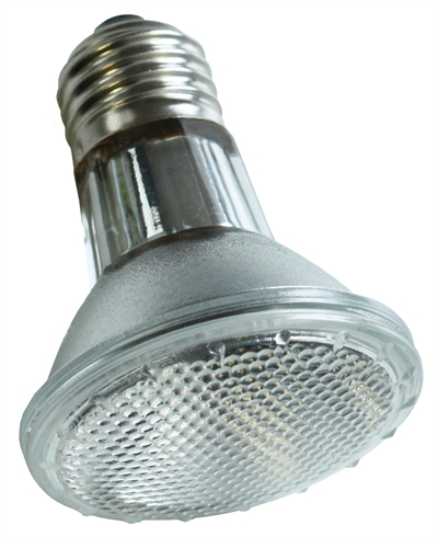 KOMODO Halogeen Spot Lamp ES 50 Watt – Warm Wit Licht voor Terrarium